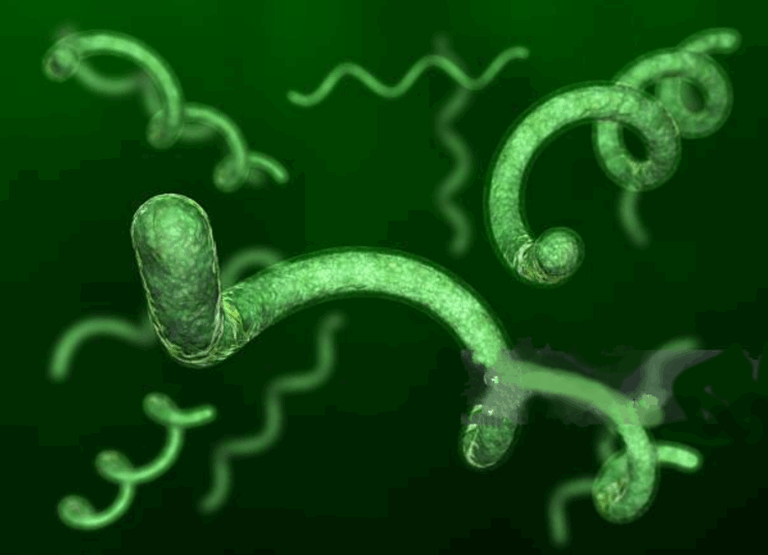 lyme molecule - orlando alternative therapy