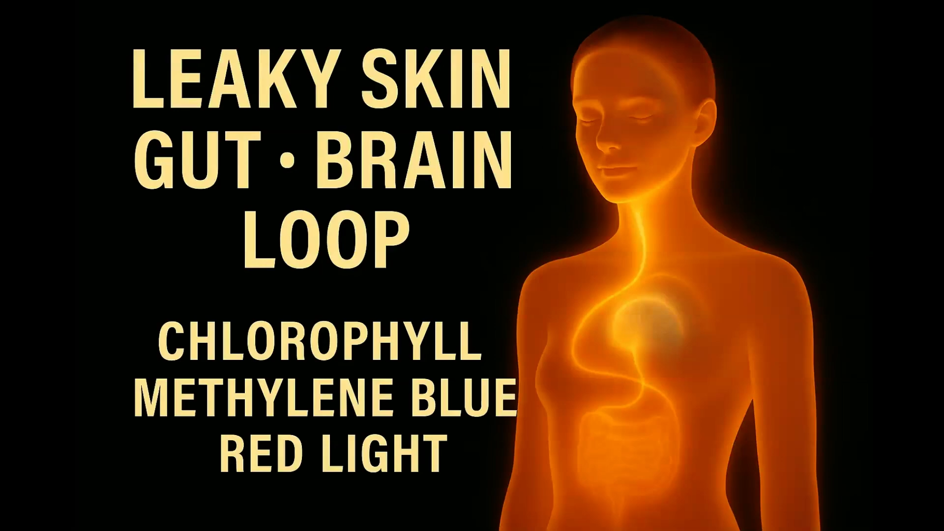 Leaky Gut, Leaky Brain & Leaky Skin_ Repair the Gut Brain Skin Barrier Naturally 0-0 screenshot