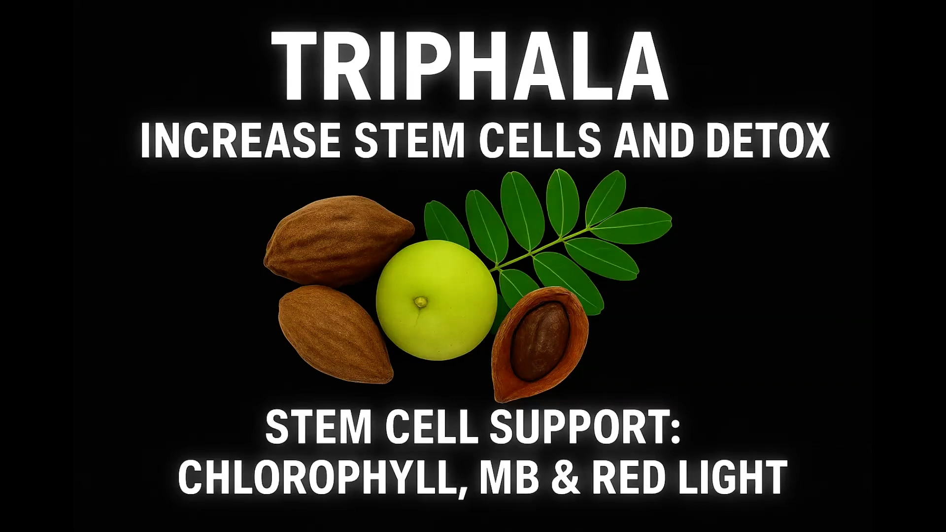 Triphala for Natural Stem Cell Support, Biohacking Detox & Longevity